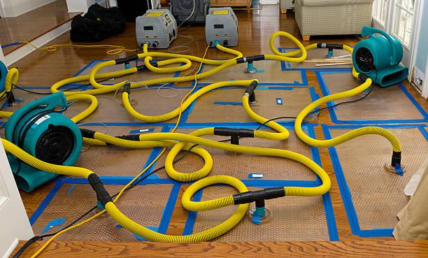 Professional Burst Pipe Water Damage technician working in Itasca, IL